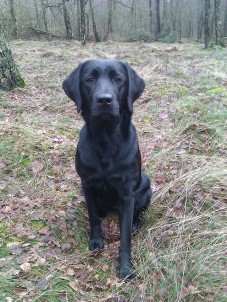 Delighted Hunter Active Ayla
